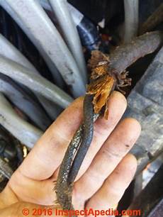 Varnish Covered Copper Wire